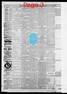 Page thumbnail for Alpena Weekly Argus