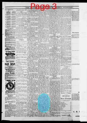 Page thumbnail for Alpena Weekly Argus