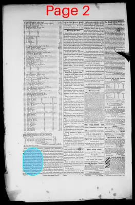 Page thumbnail for The Grand Haven News