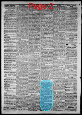 Page thumbnail for The Hillsdale Standard