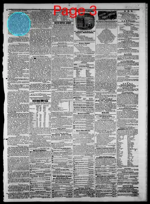 Page thumbnail for The Hillsdale Standard
