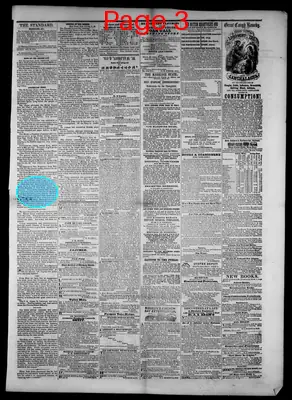 Page thumbnail for The Hillsdale Standard