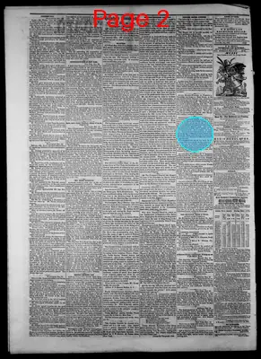 Page thumbnail for The Hillsdale Standard