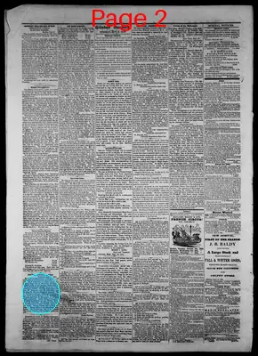 Page thumbnail for The Hillsdale Standard