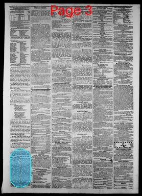 Page thumbnail for The Hillsdale Standard