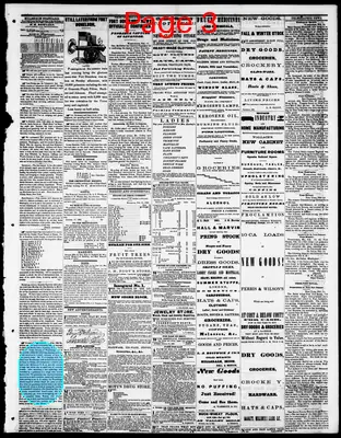 Page thumbnail for The Hillsdale Standard