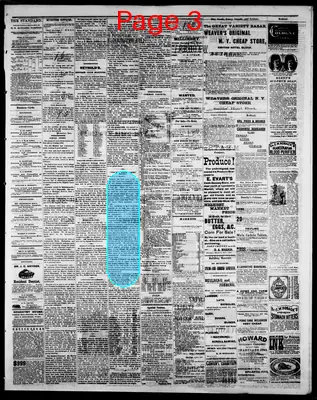 Page thumbnail for The Hillsdale Standard