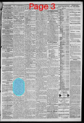 Page thumbnail for Public Ledger