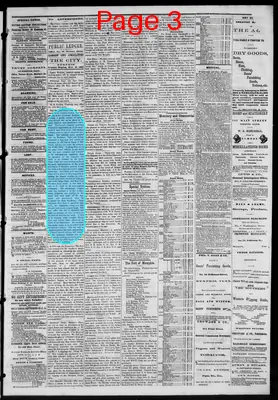 Page thumbnail for Public Ledger