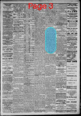 Page thumbnail for Public Ledger