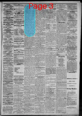 Page thumbnail for Public Ledger