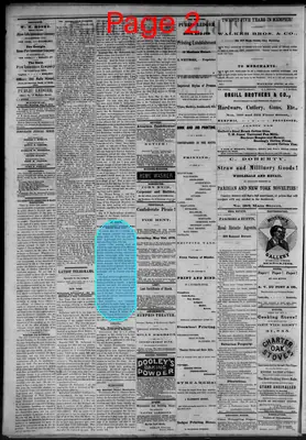 Page thumbnail for Public Ledger