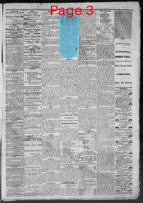 Page thumbnail for Public Ledger