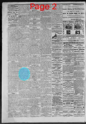 Page thumbnail for Public Ledger
