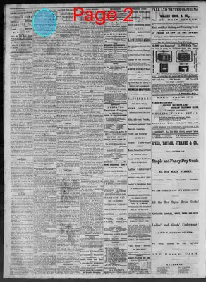 Page thumbnail for Public Ledger
