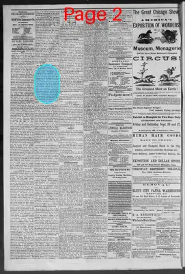 Page thumbnail for Public Ledger