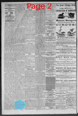 Page thumbnail for Public Ledger