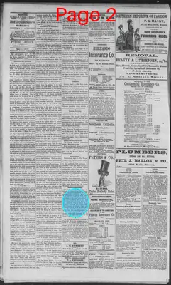 Page thumbnail for Public Ledger