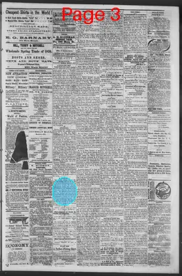 Page thumbnail for Public Ledger