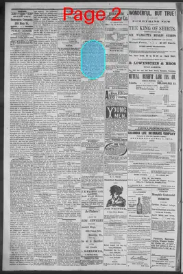 Page thumbnail for Public Ledger