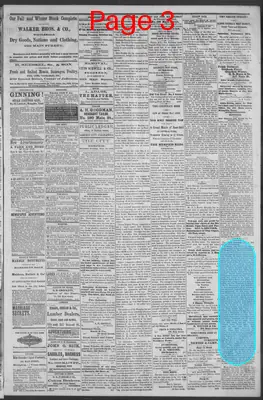 Page thumbnail for Public Ledger