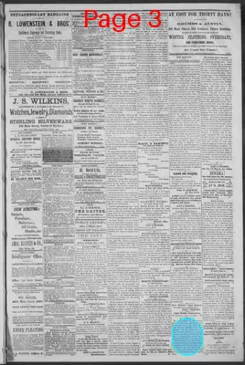 Page thumbnail for Public Ledger