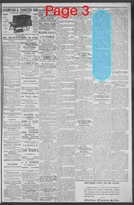 Page thumbnail for Public Ledger