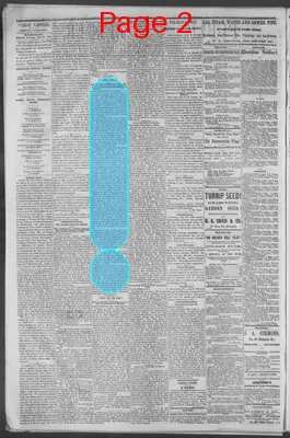 Page thumbnail for Public Ledger