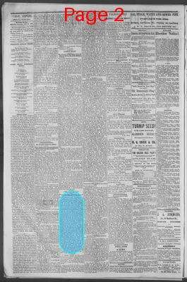 Page thumbnail for Public Ledger
