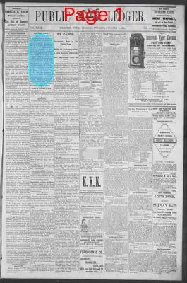 Page thumbnail for Public Ledger