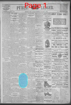Page thumbnail for Public Ledger