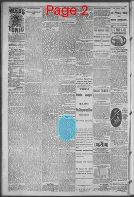 Page thumbnail for Public Ledger
