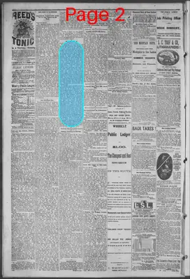 Page thumbnail for Public Ledger