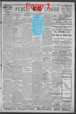 Page thumbnail for Public Ledger