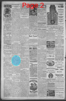 Page thumbnail for Public Ledger