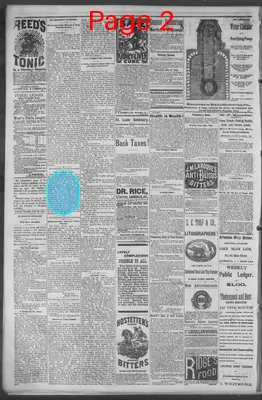 Page thumbnail for Public Ledger
