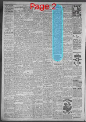 Page thumbnail for Public Ledger