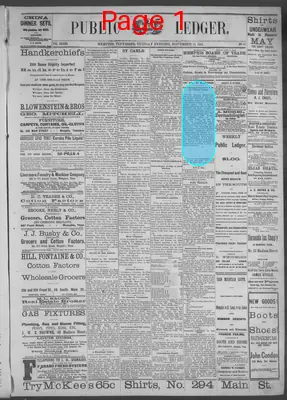 Page thumbnail for Public Ledger