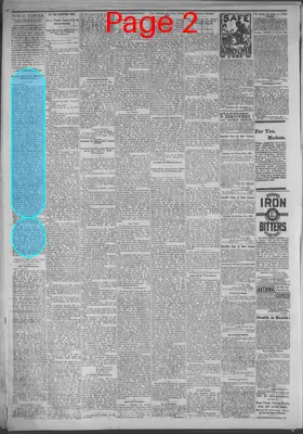 Page thumbnail for Public Ledger
