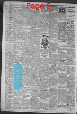 Page thumbnail for Public Ledger