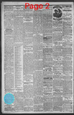 Page thumbnail for Public Ledger