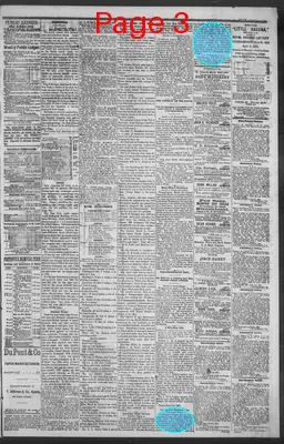 Page thumbnail for Public Ledger