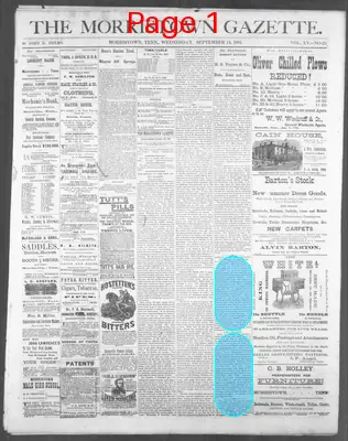 Page thumbnail for The Morristown Gazette