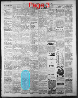 Page thumbnail for The Morristown Gazette