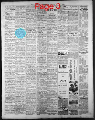 Page thumbnail for The Morristown Gazette