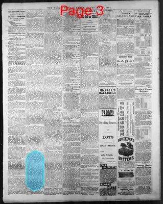 Page thumbnail for The Morristown Gazette