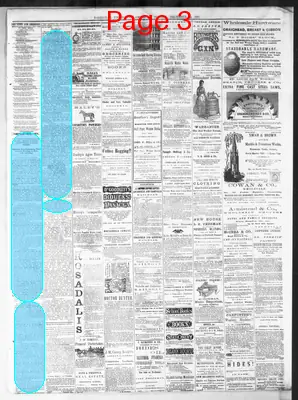 Page thumbnail for Nashville Union And American