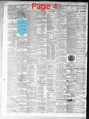 Page thumbnail for Nashville Union And American