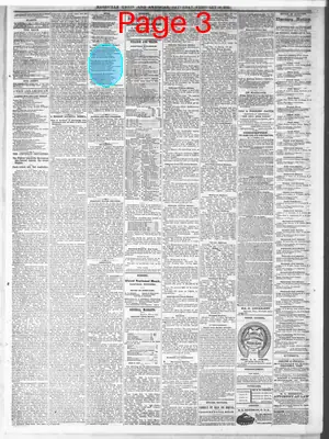 Page thumbnail for Nashville Union And American