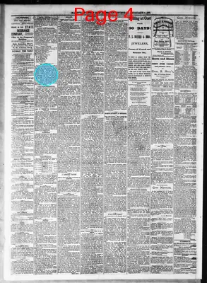 Page thumbnail for Nashville Union And American